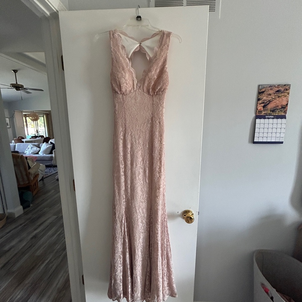 Morgan & Co. Light Pink Backless Lace prom Gown